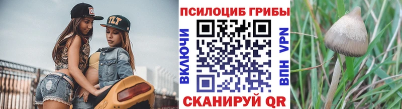 Галлюциногенные грибы MAGIC MUSHROOMS  Теберда 